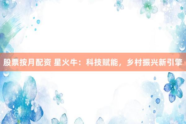 股票按月配资 星火牛：科技赋能，乡村振兴新引擎