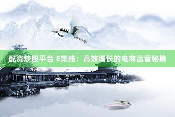 配资炒股平台 E策略：高效增长的电商运营秘籍