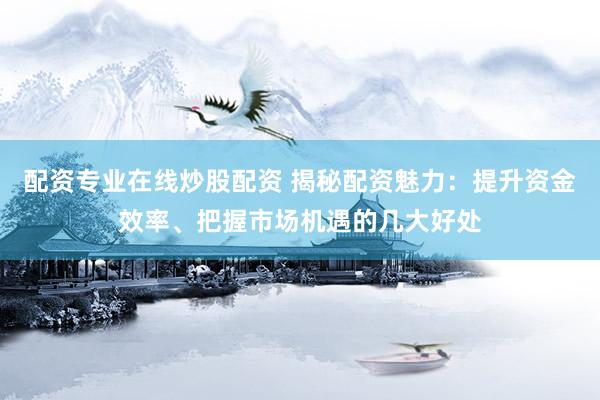 配资专业在线炒股配资 揭秘配资魅力：提升资金效率、把握市场机遇的几大好处