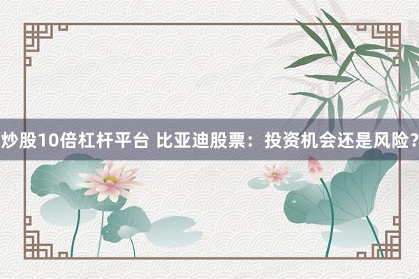 炒股10倍杠杆平台 比亚迪股票：投资机会还是风险？