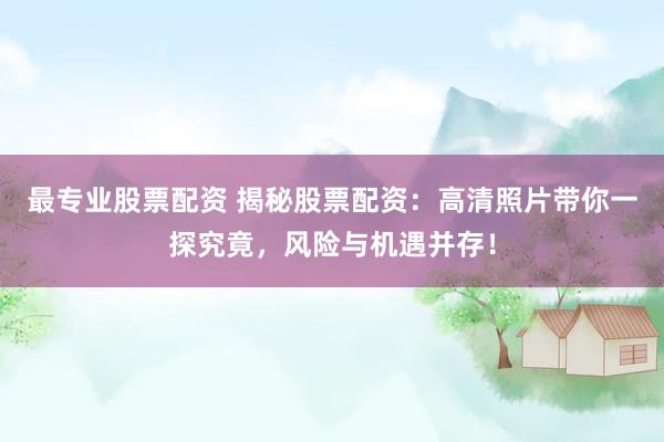 最专业股票配资 揭秘股票配资：高清照片带你一探究竟，风险与机遇并存！