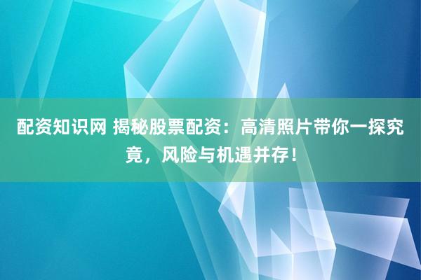配资知识网 揭秘股票配资:高清照片带你一探究竟,风险与机遇并存!
