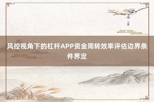 风控视角下的杠杆APP资金周转效率评估边界条件界定