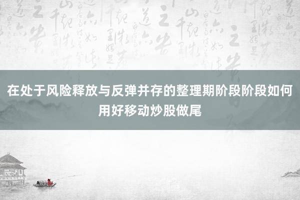 在处于风险释放与反弹并存的整理期阶段阶段如何用好移动炒股做尾