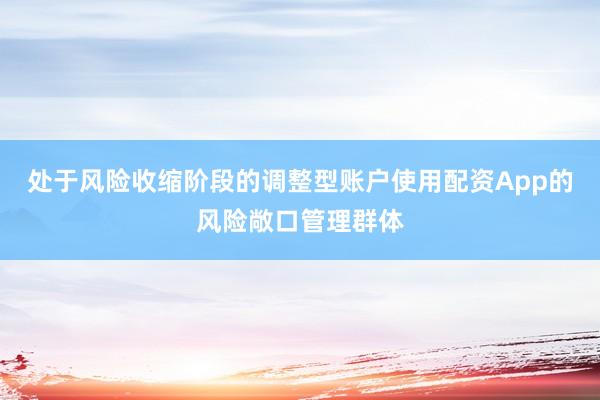 处于风险收缩阶段的调整型账户使用配资App的风险敞口管理群体