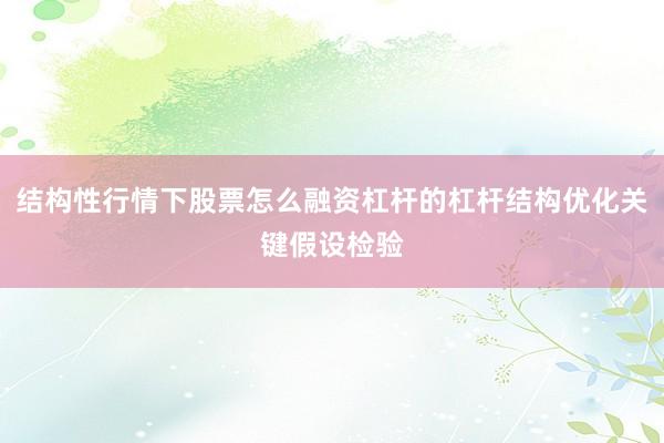结构性行情下股票怎么融资杠杆的杠杆结构优化关键假设检验