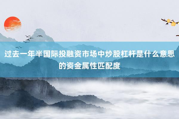 过去一年半国际投融资市场中炒股杠杆是什么意思的资金属性匹配度