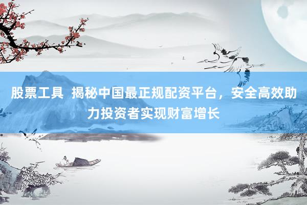 股票工具  揭秘中国最正规配资平台，安全高效助力投资者实现财富增长