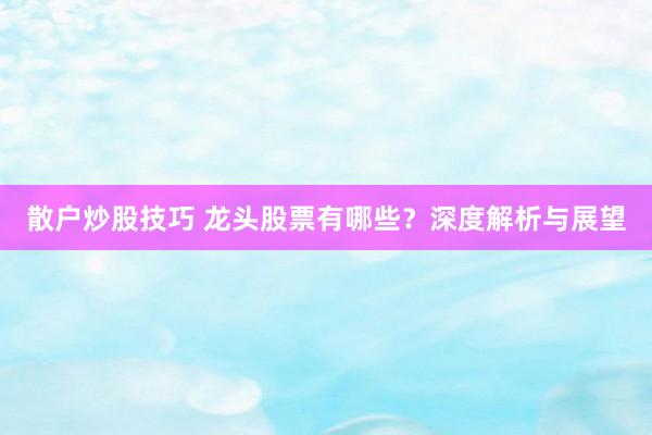 散户炒股技巧 龙头股票有哪些？深度解析与展望