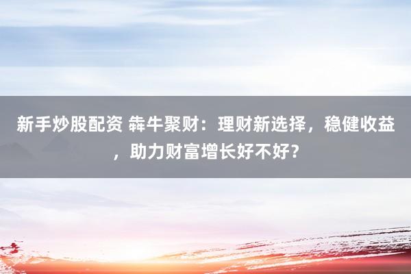 新手炒股配资 犇牛聚财:理财新选择,稳健收益,助力财富增长好不好?